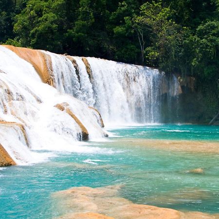 Hotel Maya Palenque Dış mekan fotoğraf